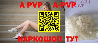 сатива Новозыбков