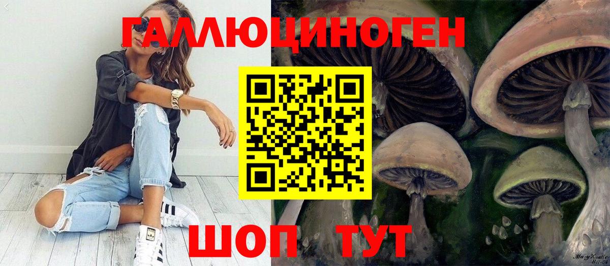 Галлюциногенные грибы Psilocybine cubensis Озёры